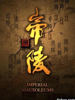 校花的选择